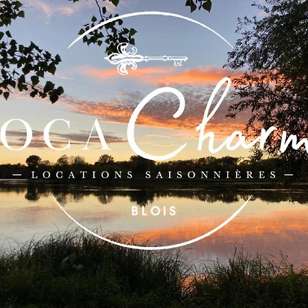 בלואה "Gite Les Futreaux" Vue Sur Loire & Linge Inclus מראה חיצוני תמונה